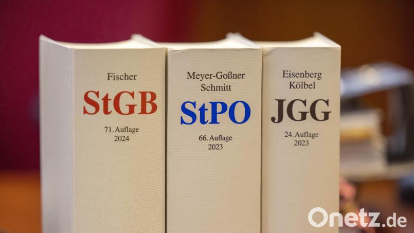 Vor dem Amberger Amtsgericht landete ein kurioser Fall: Zwei Eheleute streiten sich, nach Wortgefechten soll ein Mülleimer eingesetzt worden sein. Symbolbild: Thomas Banneyer/dpa