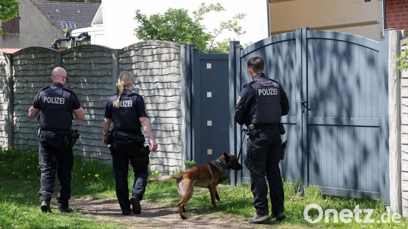 Neben Goldspürhunden kommen laut LKA auch Bargeldspürhunde und ein Röntgenmobil vom Zoll zum Einsatz. Bild: Bernd Wüstneck/dpa