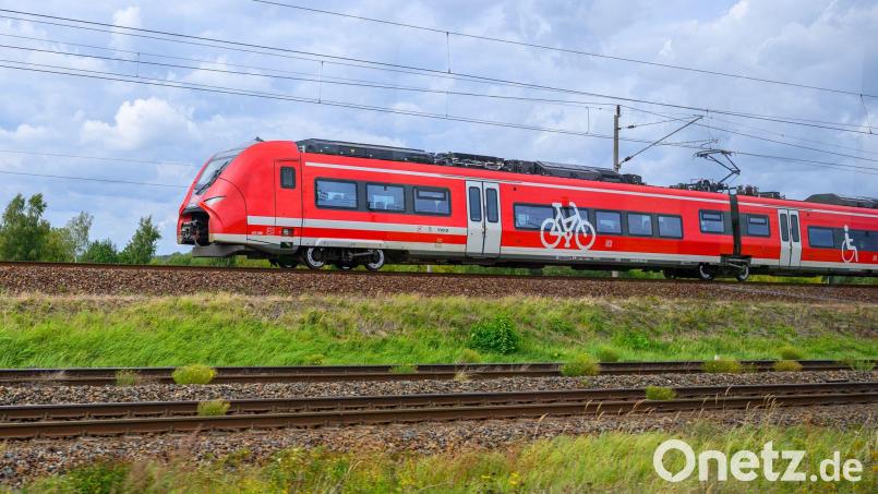 Weil ein Zug liegenblieb, setzen einige Fahrgäste ihre Reise zu Fuß fort. (Symbolbild) Bild: Patrick Pleul/dpa