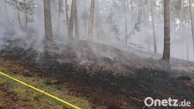 Das Feuer breitete sich auf einer Hanglage in einem Waldgebiet zwischen Schwarzach und Altendorf aus. Bild: ga