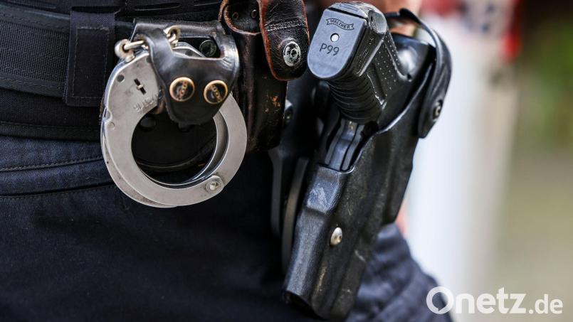 Zwei Polizisten erschießen einen Hund bei einem Einsatz im Kreis Harburg. (Symbolbild) Bild: Christoph Reichwein/dpa