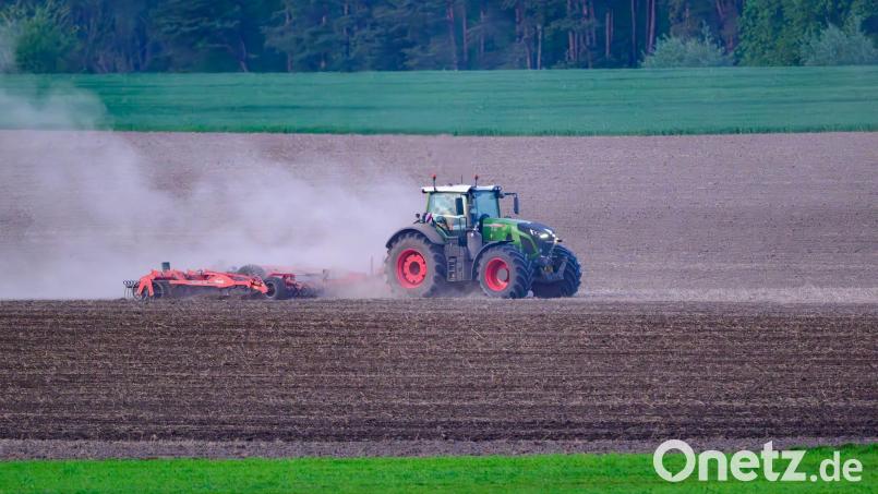 Der trockene Boden ist ein echtes Problem für Landwirte. In den vergangenen Wochen hat es in Bayern viel zu wenig geregnet. (Illustration) Bild: Patrick Pleul/dpa/ZB