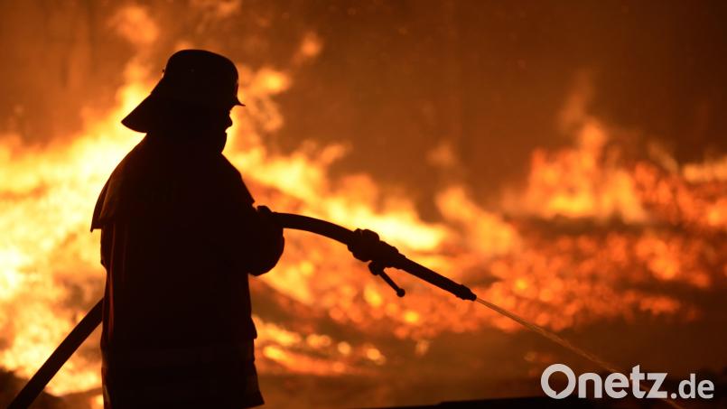 Ein Feuerwehrmann löscht einen Brand: Die Kreisbrandinspektion Schwandorf klärt zum Thema "Waldbrand" auf. Symbolbild: Dominique Leppin/dpa