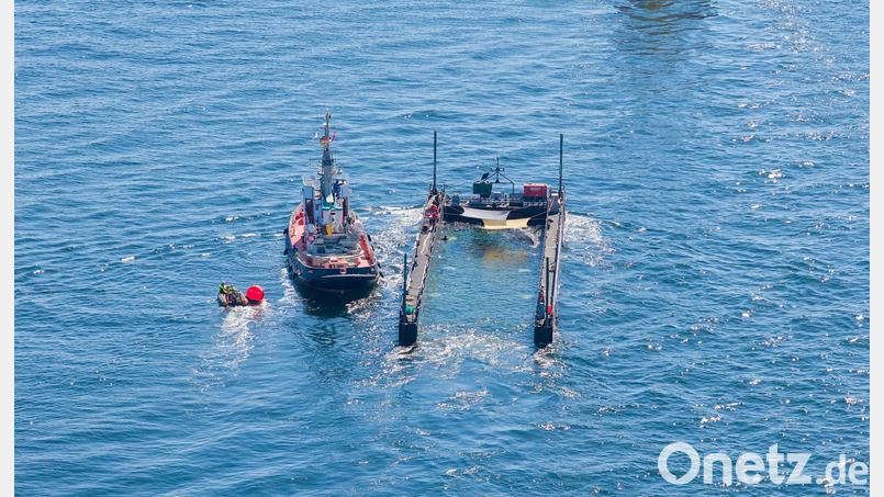Dem Umweltministerium von Mecklenburg-Vorpommern liegen noch immer keine Daten zum Verbleib des freigesetzten Buckelwals vor. (Archivbild) Bild: News5 / Sebastian Peters/NEWS5/dpa