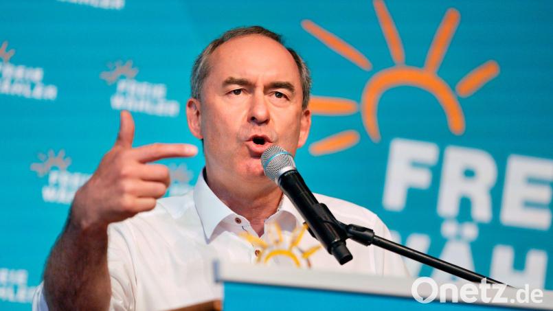Das Drama um den Wal in der Ostsee zeigt laut Aiwanger, was in der Gesellschaft alles schiefläuft. Bild: Uwe Lein/dpa