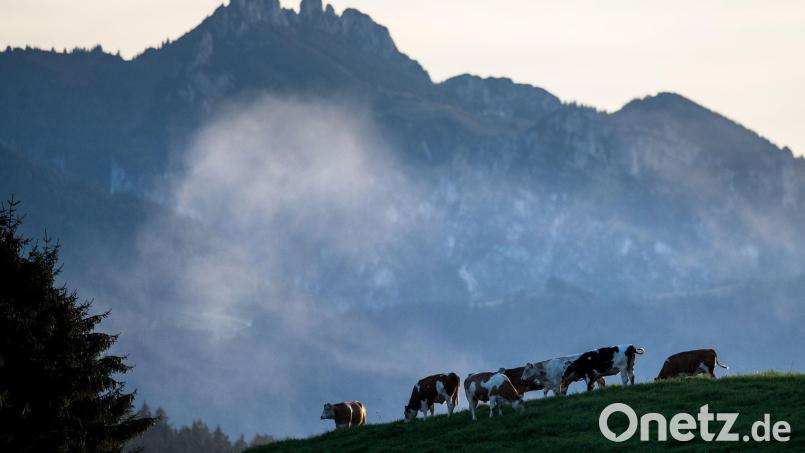 Die Kinder verliefen sich an der Hochplatte. (Symbolbild) Bild: picture alliance / dpa