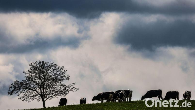 Zwischen dem Alpenrand und der Lausitz werden laut DWD am Montag teils starke Gewitter erwartet. (Archivbild) Bild: Oliver Berg/dpa