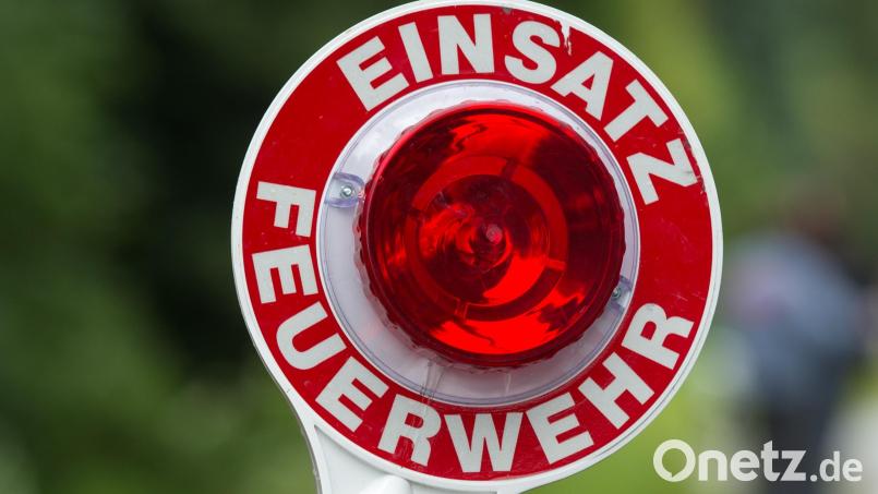 Die Feuerwehr hat in einem Waldgebiet bei Ursensollen einen brennenden Holzhaufen gelöscht. Symbolbild: Armin Weigel/dpa