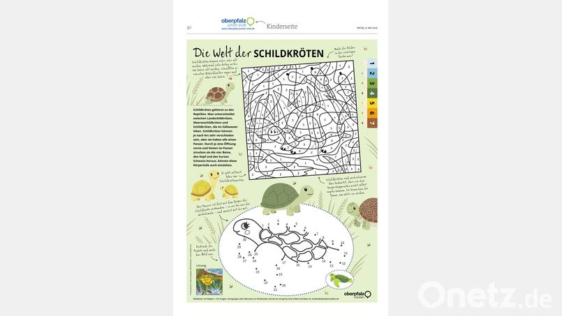 Mal- und Rätselspaß Bild: Oberpfalz Medien