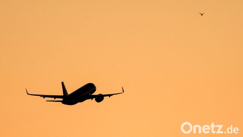 Das Paar soll sich auf dem Flug zwischen Panama und Argentinien kennengelernt haben. (Symbolbild) Bild: Jan Woitas/dpa