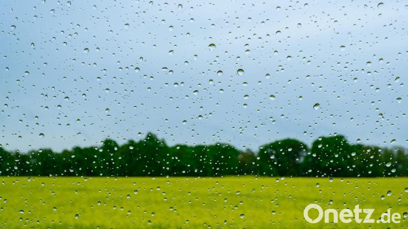 Regen wird es auch in den kommenden Tagen geben. Bild: Patrick Pleul/dpa