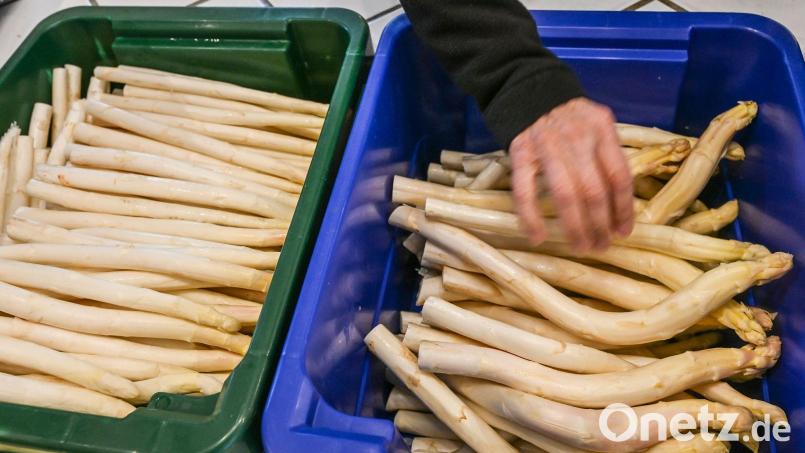 Derzeit bekommen Verbraucher Spargel so günstig wie sonst nicht in der Saison. (Archivbild) Bild: Jens Kalaene/dpa