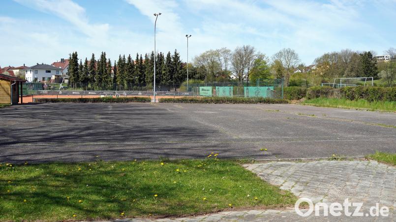 22 mal 13 Meter soll die Anlage in Pressath messen. Bild: jma