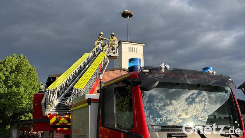 Die Drehleiter der Schwandorfer Kameraden ist in Schwarzenfeld angerückt, um nach dem Storchenküken zu sehen, das aus dem Nest gefallen ist. Der Vogel kann aber nur tot geborgen werden. Bild: Feuerwehr Schwarzenfeld/Christian Sander