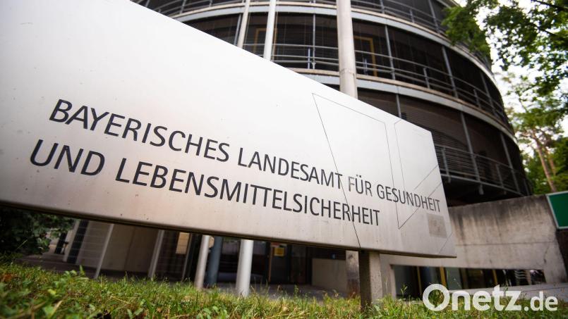 Das Landesamt für Gesundheit und Lebensmittelsicherheit warnt vor dem Kontakt mit Spitzmäusen. Symbolbild: Nicolas Armer/dpa