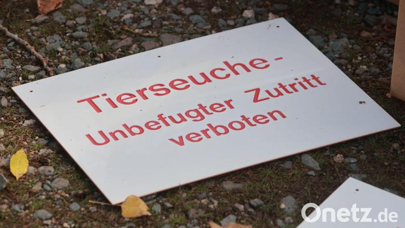 Es wurde eine Schutzzone im Umkreis von drei Kilometern errichtet. (Symbolbild). Bild: Matthias Bein/dpa