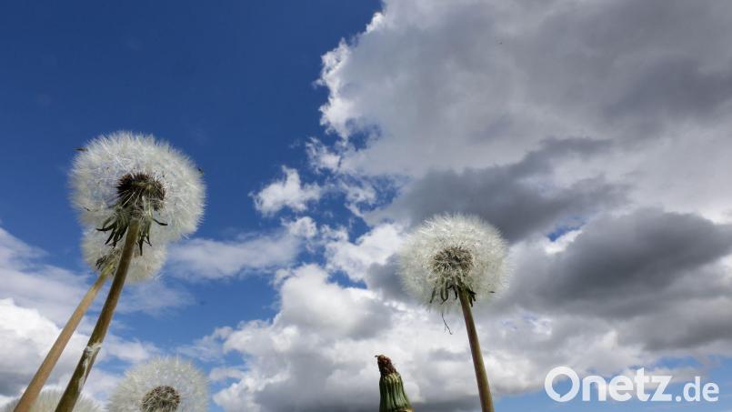 Am Dienstag erwartet Bayern vielerorts ein Sonne-Wolken-Mix. (Symbolbild) Bild: Thomas Warnack/dpa