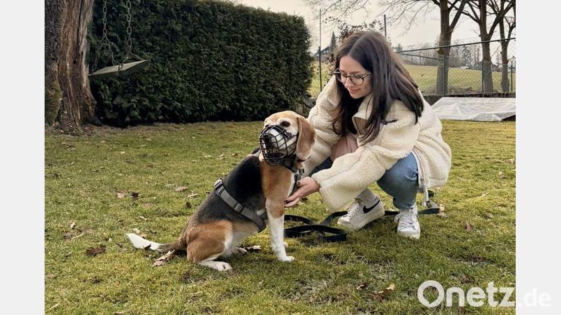 Lara Sauer hat ein großes Herz für Tiere: Sie engagiert sich im Tierheim Schwandorf. Bild: privat