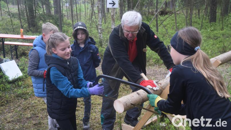 Diese beiden Mädchen hatten vor den Waldjugendspielen noch nie eine Säge in der Hand. Nun versuchen sie "ein Pfund Baum" nach eigener Einschätzung vom Stamm abzusägen. Bild: fz