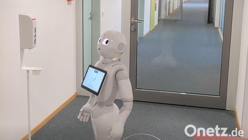 Ein Roboter an der OTH Amberg-Weiden. Die Hochschule dürfte eine Rolle dabei spielen, dass Weiden bei Unternehmensgründungen zuletzt gut da stand. Bild: Steffen Hamm/OTH