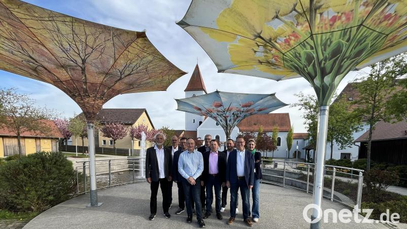 Nach langjährigem Engagement zum Wohle der Gemeinde Ursensollen scheiden aus dem Gemeinderat aus (von links): Norbert Mitlmeier (18 Jahre), Johann Fehlner (12 Jahre), Thomas Baumer (6 Jahre), Josef Stepper (6 Jahre), Dieter Stiegler (6 Jahre), Alexander Graf (6 Jahre), Marco Preißler (6 Jahre), Horst Lihl (30 Jahre) und Bettina Neumann (6 Jahre). Bild: Sascha Rößler