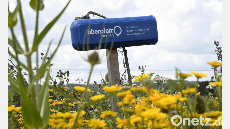 Zum 80-jährigen Jubiläum wollen wir wissen: Wie gut kennen Sie Oberpfalz-Medien? Bild: Alexander Unger
