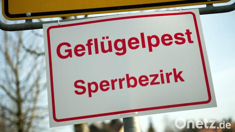 Entwarnung: Solche oder ähnliche Schilder können jetzt erst einmal weg, die Sperrmaßnahmen wegen der Geflügelpest im Raum Oberviechtach sind aufgehoben. Symbolbild: Arno Burgi/dpa