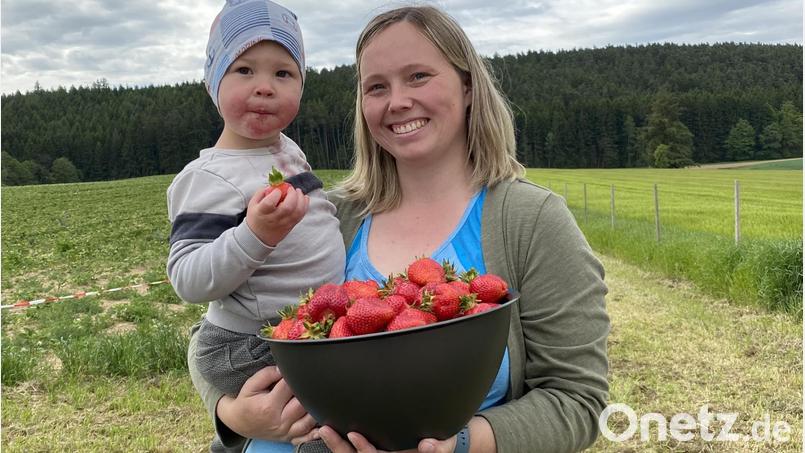 Maria Schmidl aus Altendorf strahlt: Sie hat sich die ersten Erdbeeren gepflückt. Kilian durfte schon auf dem Feld naschen. Bild: Völkl
