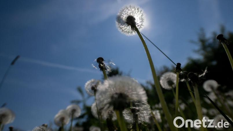 Es wird sommerlich in Bayern. (Archivbild) Bild: Pia Bayer/dpa