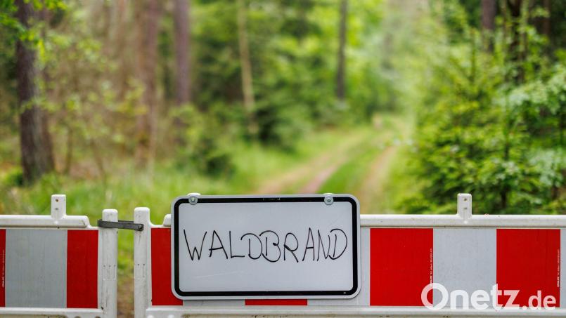 Die Waldbrandgefahr in Bayern steigt. (Archivbild) Bild: Daniel Karmann/dpa