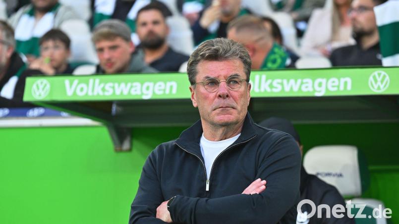 Trainer Dieter Hecking vom VfL Wolfsburg. Bild: Swen Pförtner/dpa