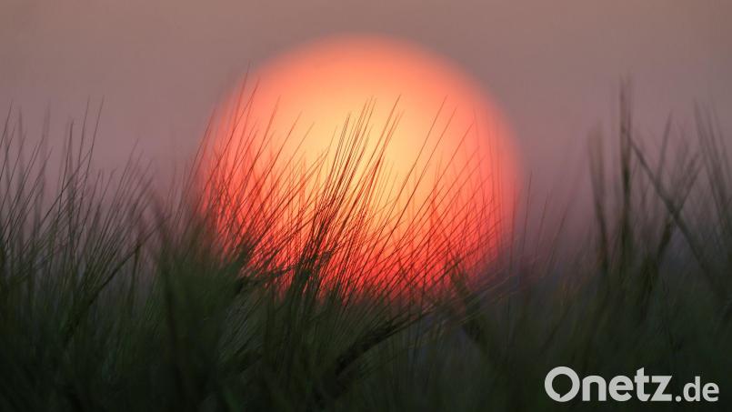 Im Südwesten werden Temperaturen bis 34 Grad erwartet Bild: Thomas Warnack/dpa