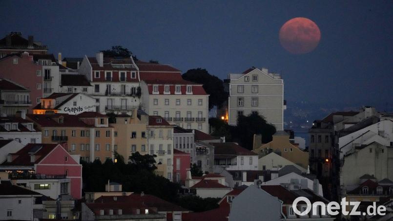 Die beiden in Portugal ausgesetzten französischen Kinder dürfen in ihre französische Heimat zurückkehren. (Symbolbild) Bild: Armando Franca/AP/dpa