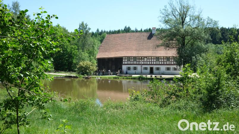 Blick auf den Mühlenweiher und die Rauberweihermühle im Oberpfälzer Freilandmuseum Neusath. Bild: Hirsch