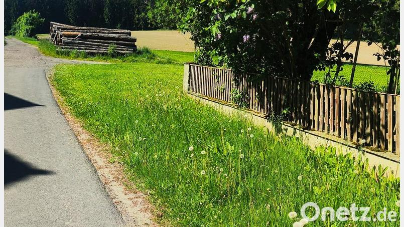 Die Bauvoranfrage in Wolfersreuth – der Bauplatz sollte an der Stelle sein, wo das Holzlager zu sehen ist. Hier würde zum letzten Haus in der Straßenreihe eine große Baulücke entstehen. Zudem ist das Grundstück nicht erschlossen. Bild: fpoz