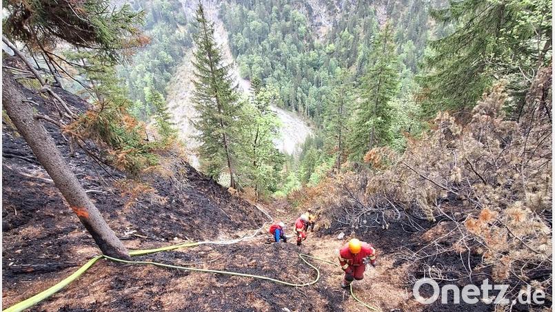 Die Einsatzkräfte der Bergwacht fanden schwieriges Gelände am Berg vor. Die Schlauchleitungen sowie die Ausrüstung wurden per Hubschrauber eingeflogen. Bild: Daniel Pausch