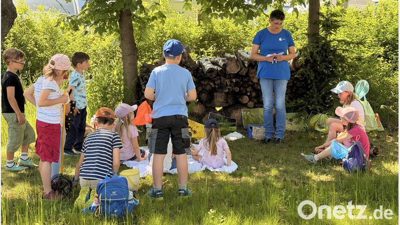 Einen Familienaktionstag zur Artenvielfalt veranstaltete die Firma Lüdecke in Zusammenarbeit mit dem Landesbund für Vogelschutz. Bild: Anna Bogner