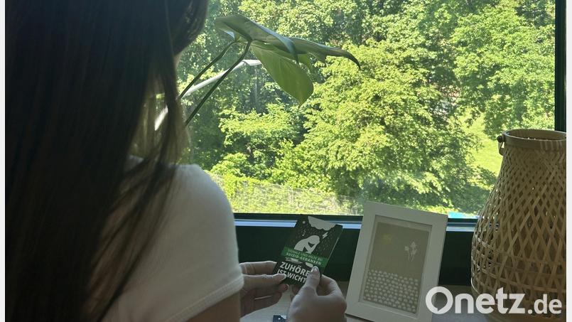 Die Suizidquote in der Region Amberg und Amberg-Sulzbach ist überdurchschnittlich hoch. Hilfsangebote sollen bei den Betroffenen Hoffnung wecken. Bild: Carina Rösl