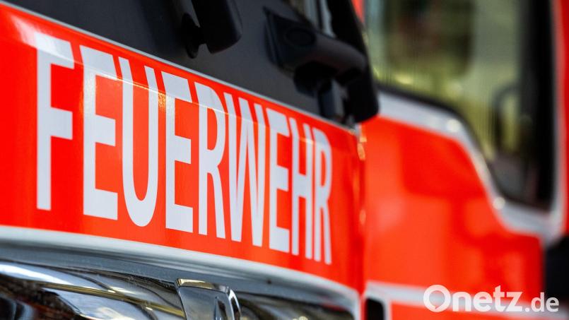 Ein Streit eskaliert: Ein Mann setzt in Regenstauf eine Wiese und eine Papiertonne in Brand. Symbolbild: Soeren Stache/dpa