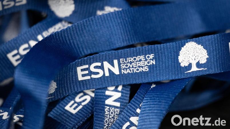 Zu den Mitgliedern der Europapartei ESN gehört auf die deutsche Alternative für Deutschland. (Archivbild) Bild: Sebastian Kahnert/dpa