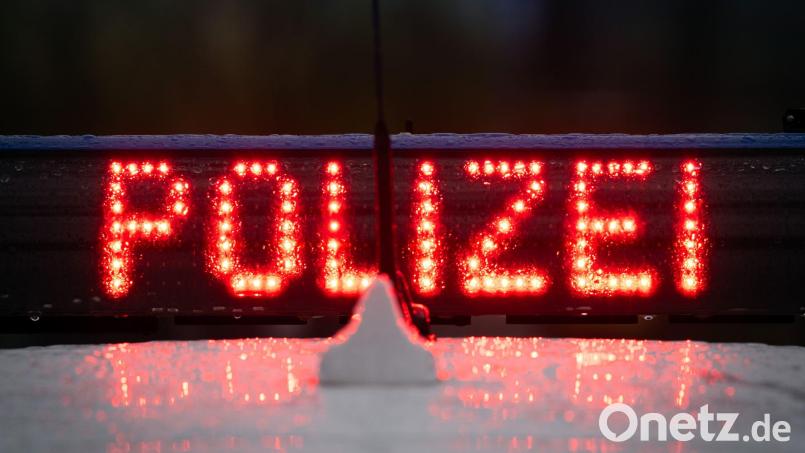 Überladen und nicht ausreichend gesicherte Ladung: Bei Tirschenreuth hat die Polizei einen Rohholzlaster aus dem Verkehr gezogen. Symbolbild: Soeren Stache/dpa