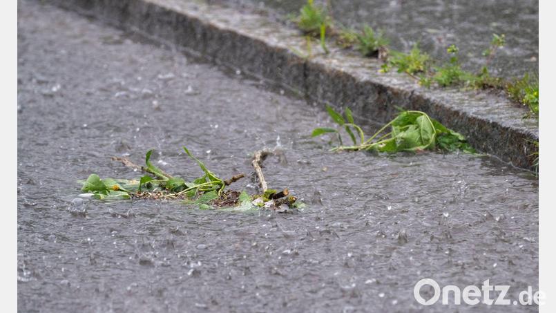 Der Sonntag fällt in Bayern vielerorts ins Wasser. Bild: Pia Bayer/dpa