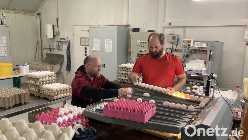 Matthias Naumann (links) und Julian Kaiser (rechts) an der Eiersortiermaschine. Bild: Stefanie Swann