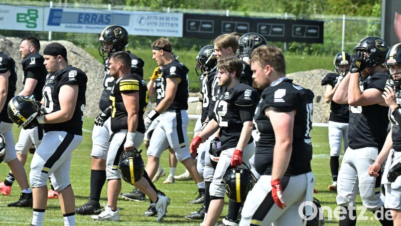 Nach vier Niederlagen in Folge stehen die Amberg Mad Bulldogs in der Football-Regionalliga bereits früh unter Druck. Bild: Hubert Ziegler
