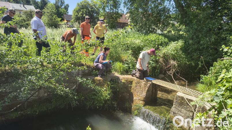 Fachleute vom Wasserwirtschaftsamt, dem Projekt Fluss.Frei.Raum, der Gemeinde Kirchenthumbach und OG-Vorsitzenden Reinhold Wilterius bei der Mittelmühle. Bild: Rainer Knoll