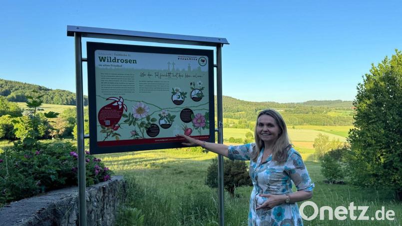 Elisabeth Zintl, Chefin der Hollerhöfe in Waldeck, sagt: "Viele schätzen die Möglichkeit sehr, sich hier mit der Natur zu verbinden. Weil sie davon auch noch später zehren können.“ Bild: Leonhard Zintl