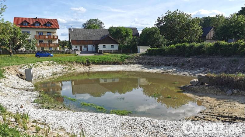 Die ökologische Umgestaltung des Dorfweihers Pirk ist abgeschlossen. Der Wasserstand des sogenannten Himmelsweihers erhöht sich lediglich durch Niederschläge. Bild: Portner