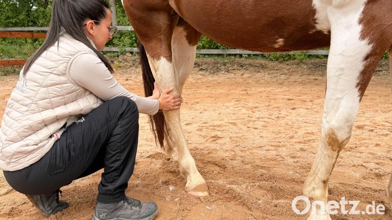 Durch gezielte manuelle und energetische Impulse löst Lisa Siegler Blockaden im Gewebe und stellt die Kommunikation im Nervensystem wieder her. Bild: Gabi Schönberger