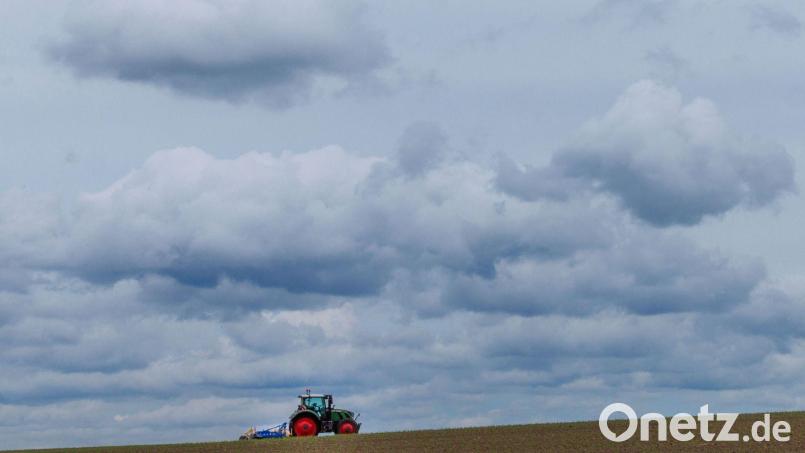 Launig zeigt sich das Wetter zum Start in die neue Woche - auf heiteres Wetter folgen am Montag vermehrt Wolken und Regenschauer. (Symbolbild) Bild: Jens Büttner/dpa