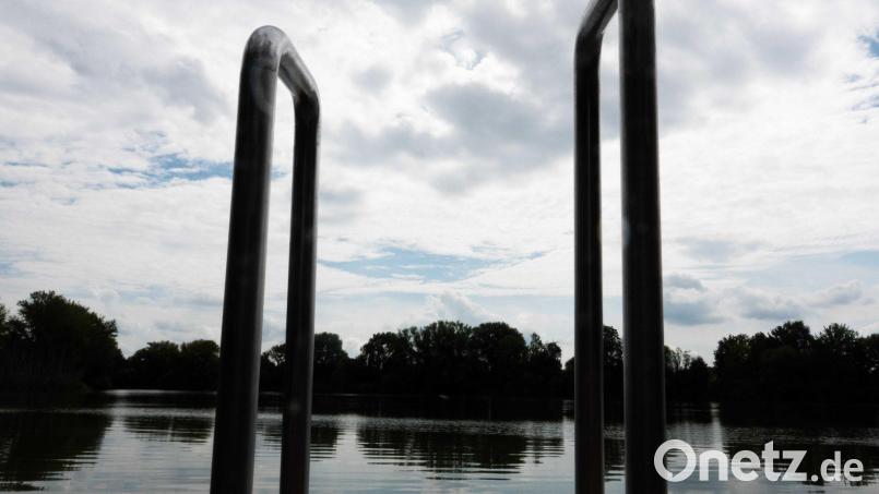 Vor etwa einem Jahr hatte bereits einmal ein Wels in einem See in Mittelfranken für Aufsehen gesorgt. Symbolbild: Hilal Özcan/dpa
